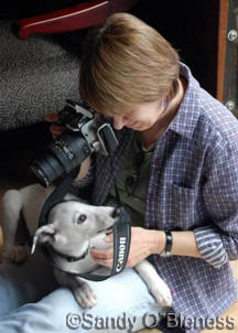 Me and a friend, trying to take a photo of another pup, photo by Sandy O'Bleness