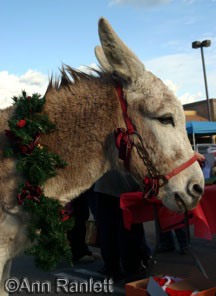 Spike the donkey