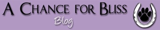 A Chance for Bliss' previous logo