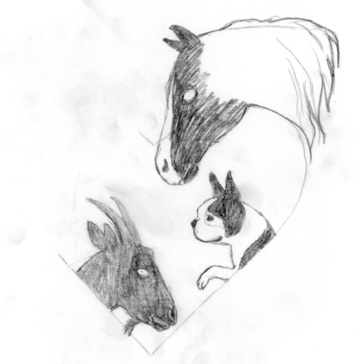 Pencil Drawing of Critters