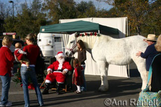 Santa, Tank the Percheron and friends