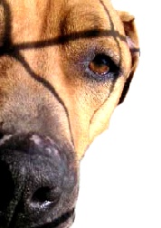 Sandy's photo cropped