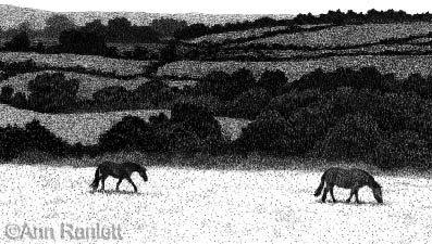 Pastoral Patchwork, detail