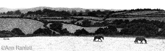 Pastoral Patchwork, ink on scratchboard by Ann Ranlett