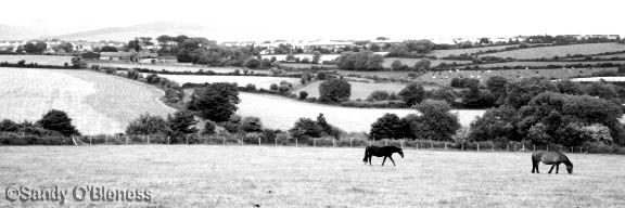 Sandy's photo - greyscale with tweaked contrast