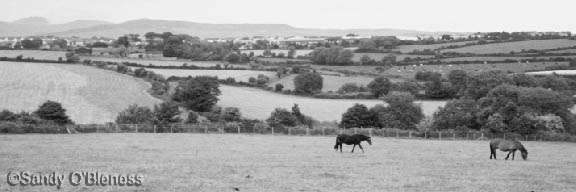 Sandy's photo converted to greyscale