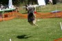 BowWowBash19