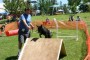 BowWowBash5