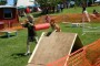 BowWowBash8