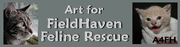 Art for FieldHaven Feline Rescue