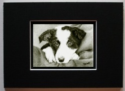 "Future Herder" matted reproduction print