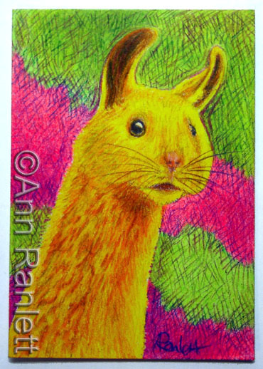 HamLlama - color pencil ACEO by Ann Ranlett, click the image to see the eBay listing