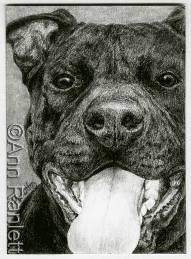 Happy Guy - pencil drawing by Ann Ranlett. Click to see the eBay auction