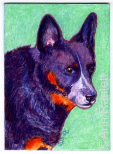 Rock On - ACD painting by Ann Ranlett