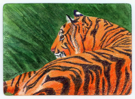 Watchful Rest, Tiger Art by Ann Ranlett, click on the image for the eBay listing