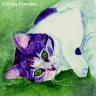 "Green-Eyed Girl" calico cat