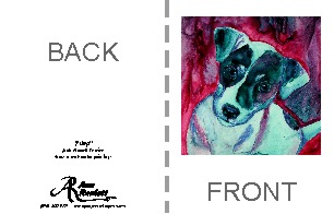 sample back/front
