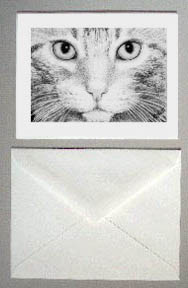 sample card & envelope