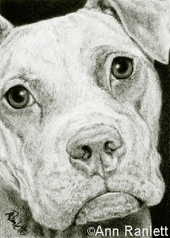 Cocoa Portrait