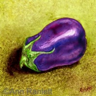 Glossy Purple Eggplant