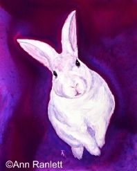 "What's Up Doc?" white rabbit