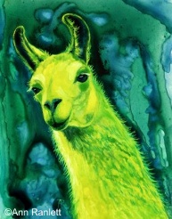 "Llemon-Llime Llama"