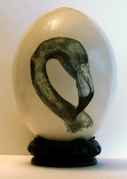 Flamingo drawn in pen & ink on an ostrich egg, by Ann Ranlett