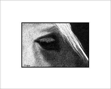 "Belgian Gaze" matted print - proportions