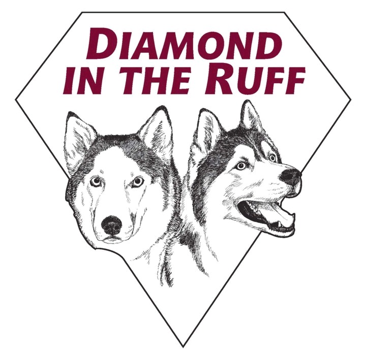 Diamond in the Ruff logo