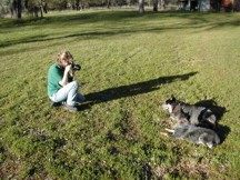 Taking reference photos of Chili & Scooter for a pet portrait. Photo by Sandy O'Bleness