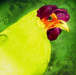 Spring Chicken