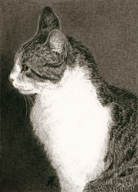 Mouse, Tabby, portrait by Ann Ranlett