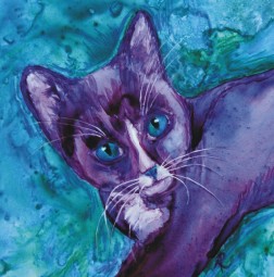 Purple Tuxedo