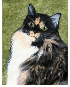 Shamrock
