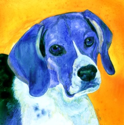 Daisy