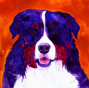 Kassie - Bernese Mountain Dog - watercolor on Yupo