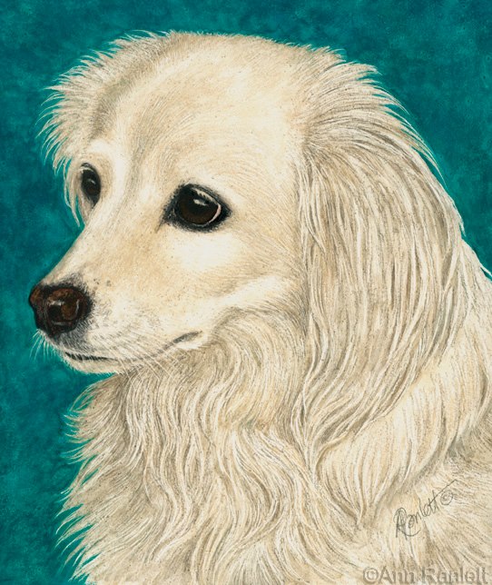 Sadie, mixed media portrait by Ann Ranlett