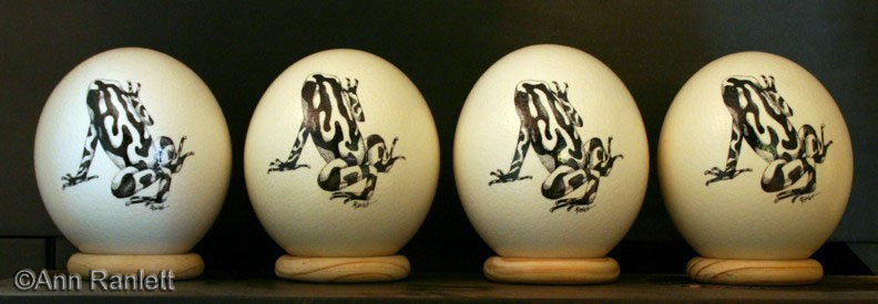 Poison dart frogs in pen & ink on ostrich eggs, by Ann Ranlett