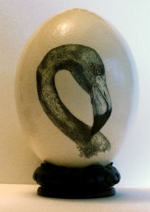 Pen & ink flamingo drawing on an ostrich egg, by Ann Ranlett