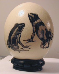 Poison Arrow Frogs