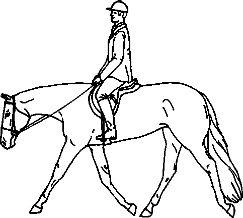 English Pleasure Horse