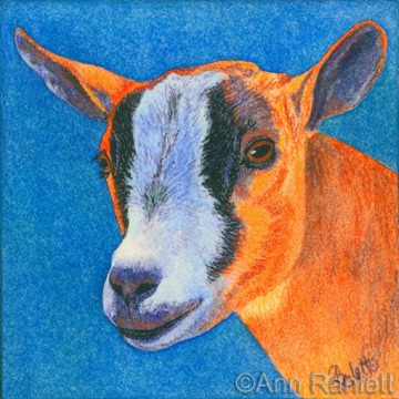 Goat #2, painting by Ann Ranlett