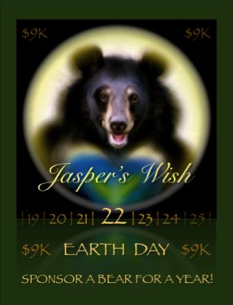 Jasper's Wish logo