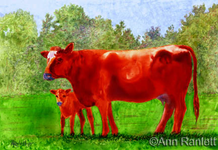 "Bovine Devotion"
