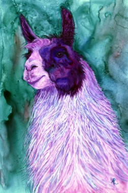 "Llilllac Llama"