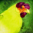 Spring Chicken