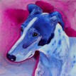 Click here to visit Ann's Zazzle Shop
