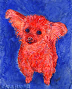 "The Flying Nun"