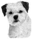 Gidget