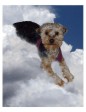 Baby Huey's Cloud Portrait